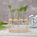 Glass Test Tube Bud Vase