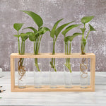 Glass Test Tube Bud Vase