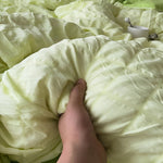 Lightweight Summer Duvet Set