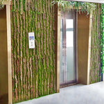 Natural Bark Wall Panel
