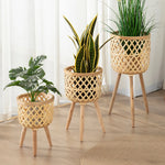 Woven Bamboo Plant Pot with Stand