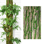 Natural Bark Wall Panel