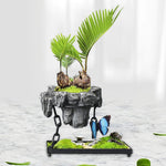 Floating Air Plant Holder