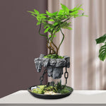 Floating Air Plant Holder