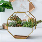 Wall-Mounted Geometric Plant Bowl
