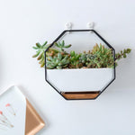 Wall-Mounted Geometric Plant Bowl