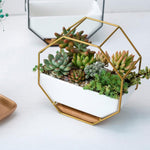 Wall-Mounted Geometric Plant Bowl
