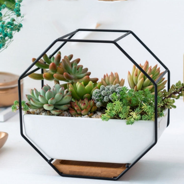 Geometric Succulent Planter