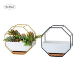 Geometric Succulent Planter