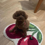 Kirsa Cherry Rug