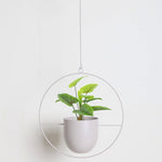 Metal Hanging Plant Holder