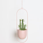 Metal Hanging Plant Holder