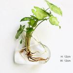 Glass Wall Vase