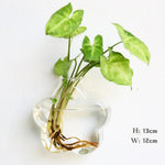 Glass Wall Vase