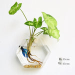 Glass Wall Vase